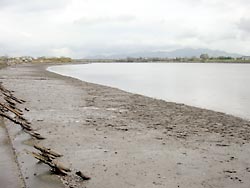 菊池川河口付近、有明海が引き潮になるとムツゴロウの干潟が現れる