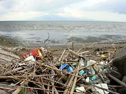 菊池川河口部付近の有明海、窪地に大量のゴミがたまっていた